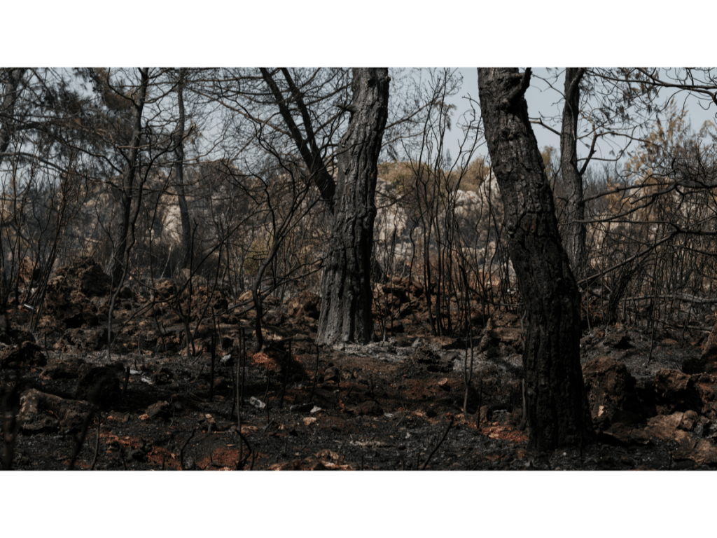 PG&E and the Tubbs Fire Trial