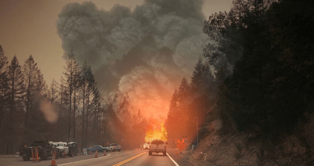 Utility Company Claims - Government Entity Claims - Smoke and Fire Claims