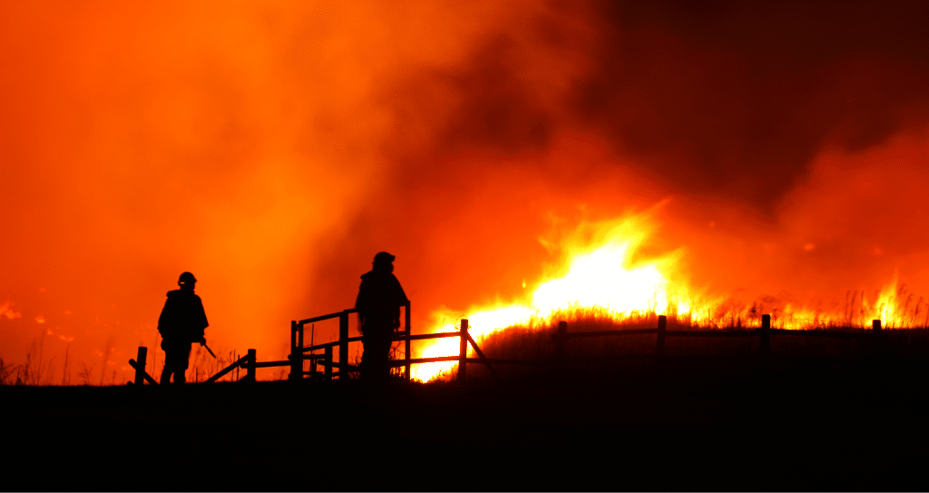 Wildfire Lawyer