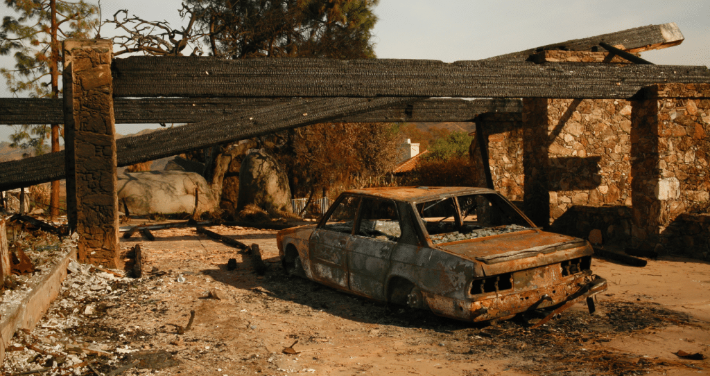 Wildfire Lawyer