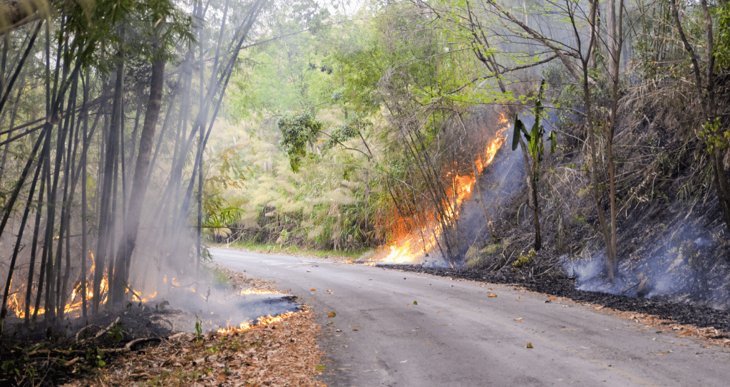 Wildfire Lawyer - Smoke and Fire Claims